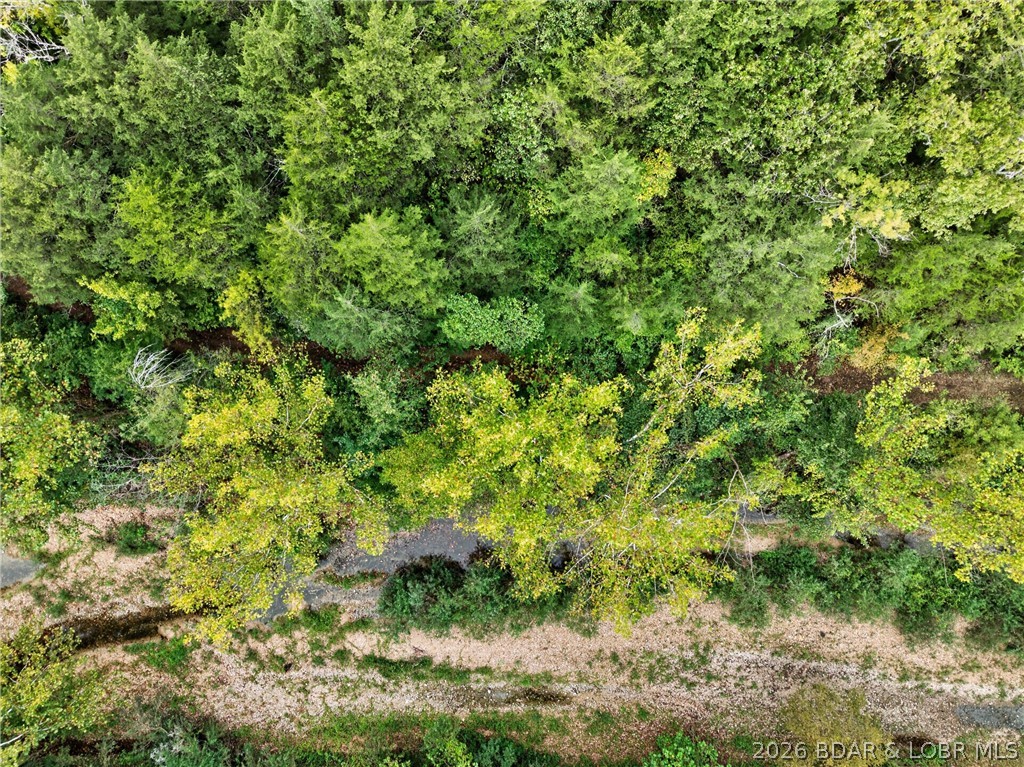 Tbd Witt Road Property Photo 54
