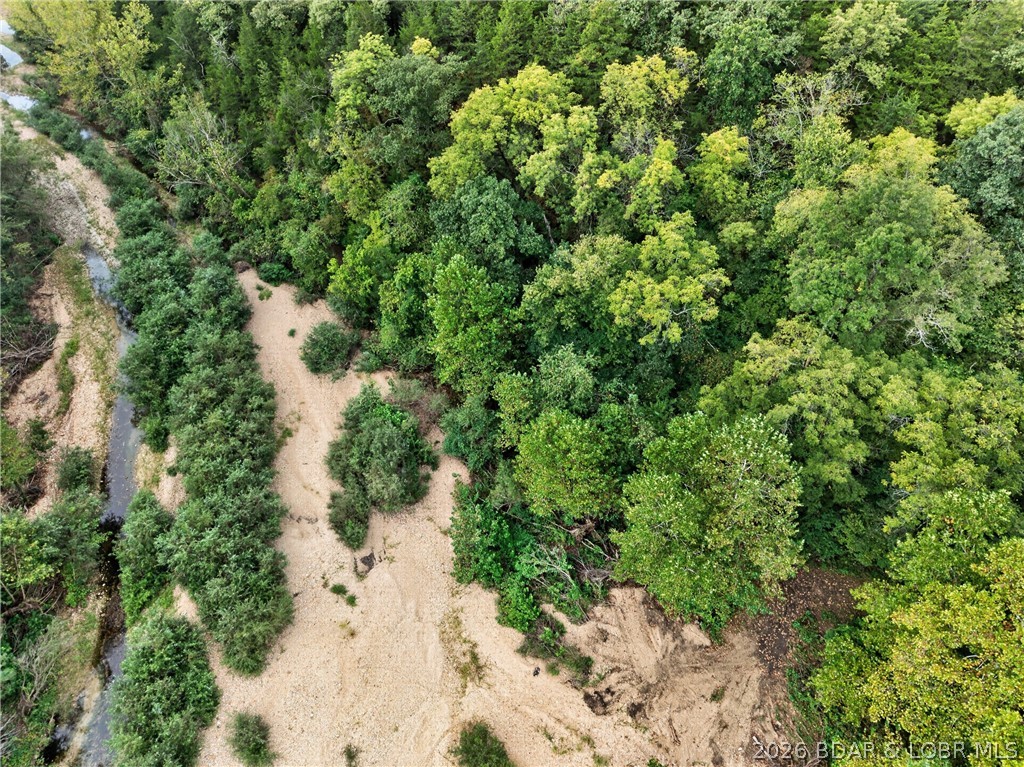 Tbd Witt Road Property Photo 56