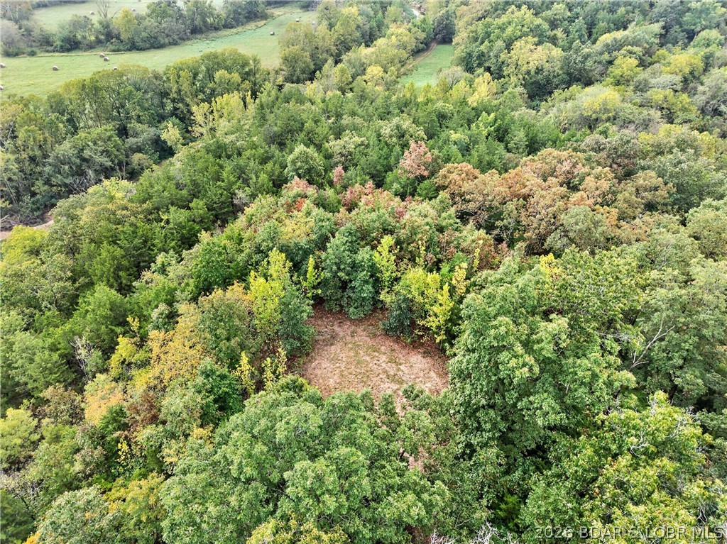 Tbd Witt Road Property Photo 57