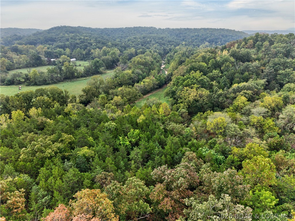 Tbd Witt Road Property Photo 58