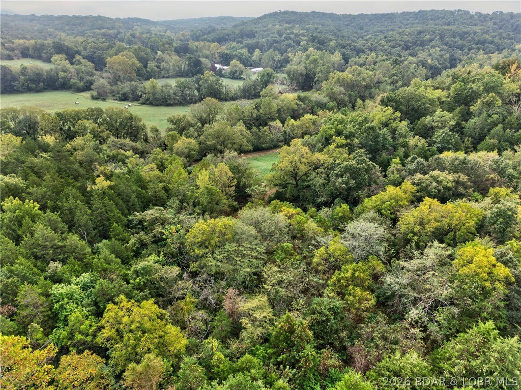 Tbd Witt Road Property Photo 59
