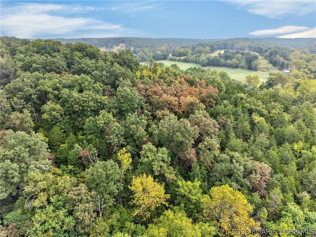 Tbd Witt Road Property Photo 60