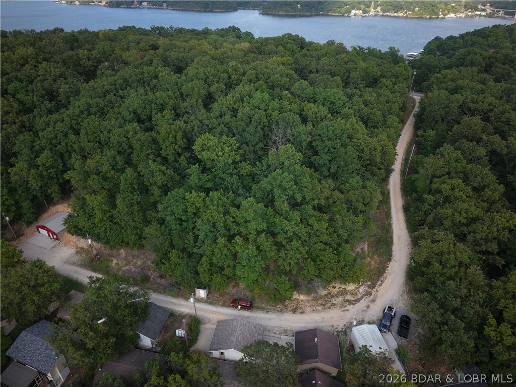 Moss Hollow Lane Property Photo 2