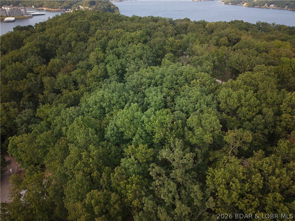 Moss Hollow Lane Property Photo 4