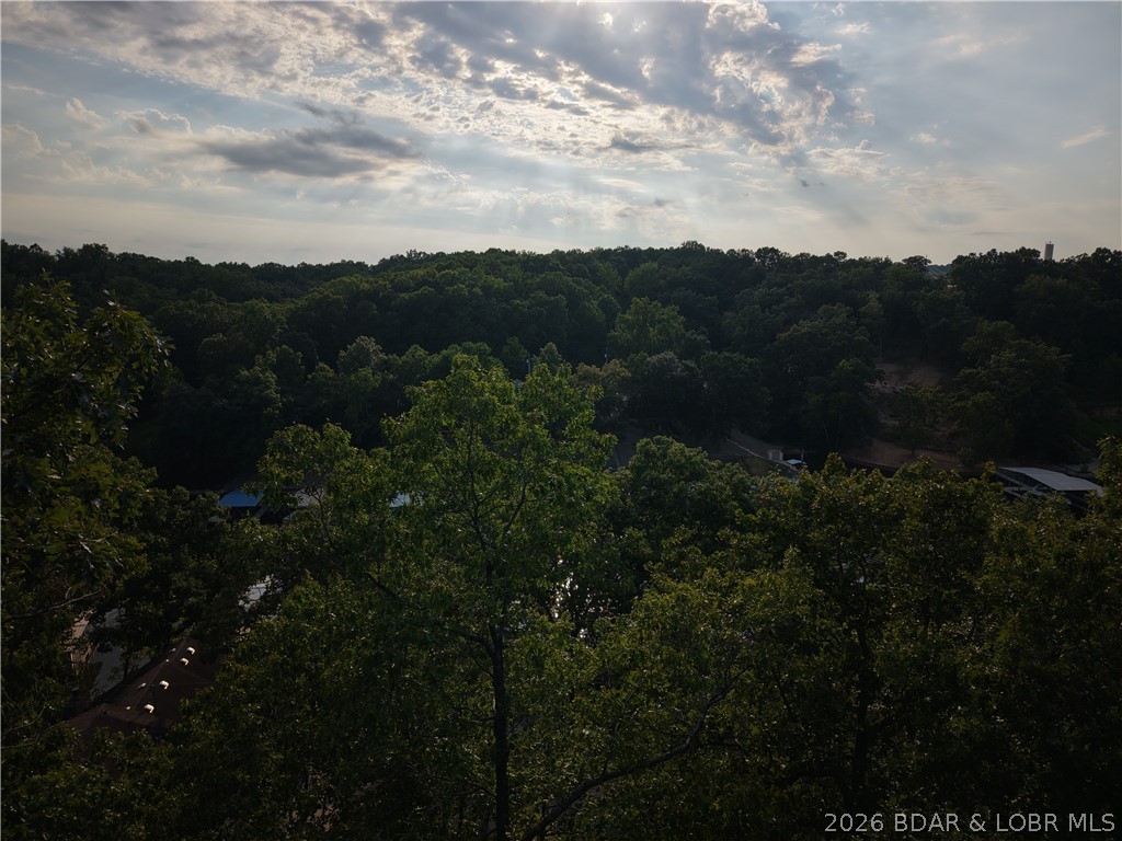 Moss Hollow Lane Property Photo 5