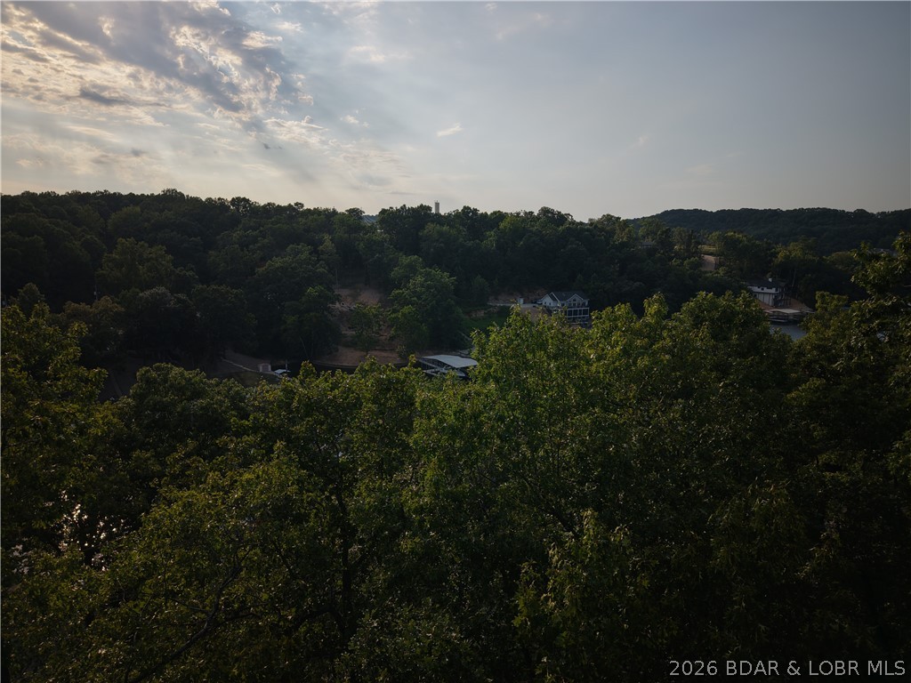 Moss Hollow Lane Property Photo 6