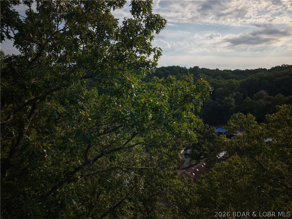 Moss Hollow Lane Property Photo 7
