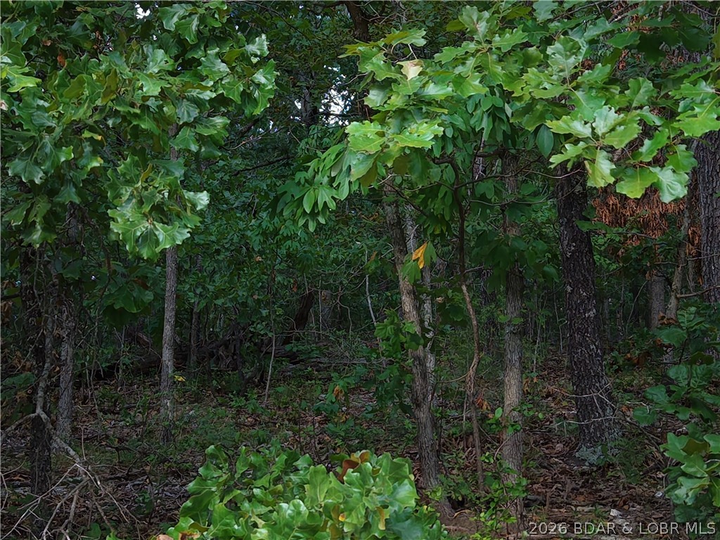 Moss Hollow Lane Property Photo 10
