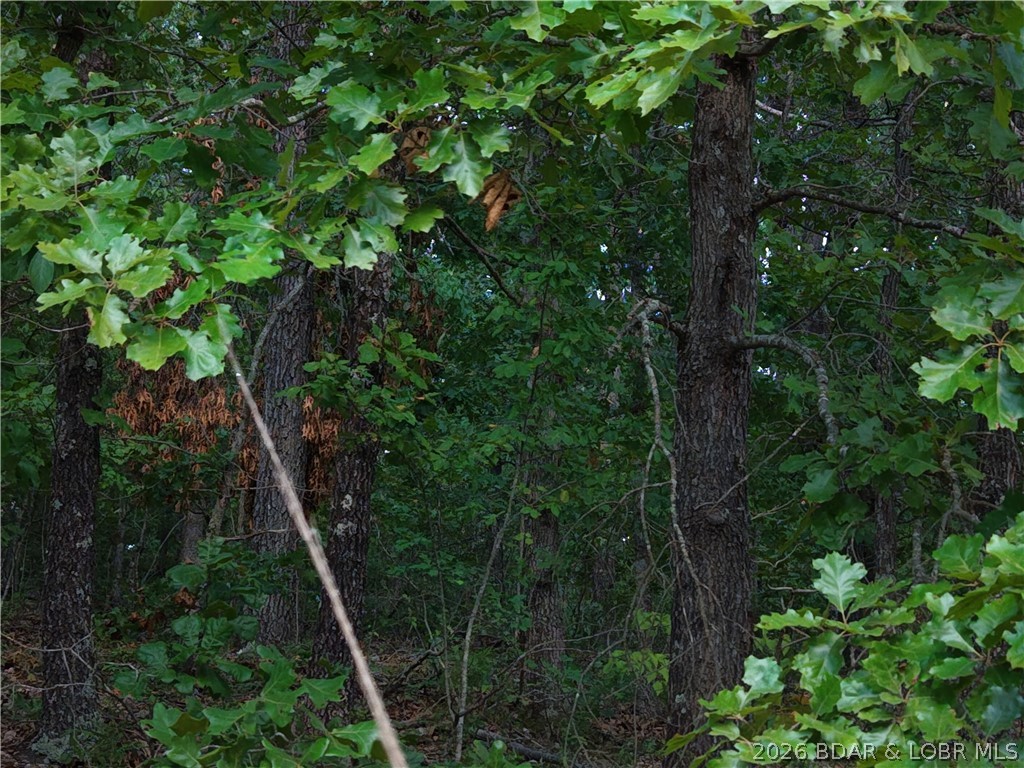 Moss Hollow Lane Property Photo 11