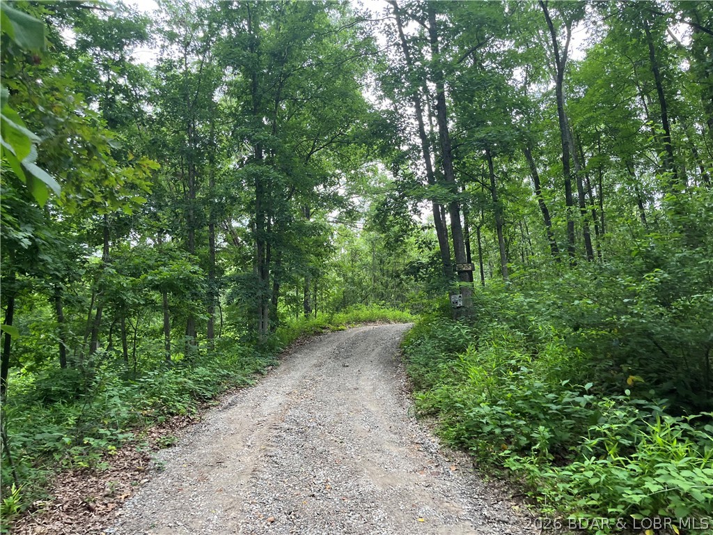 191 Masters Creek Lane Property Photo 47