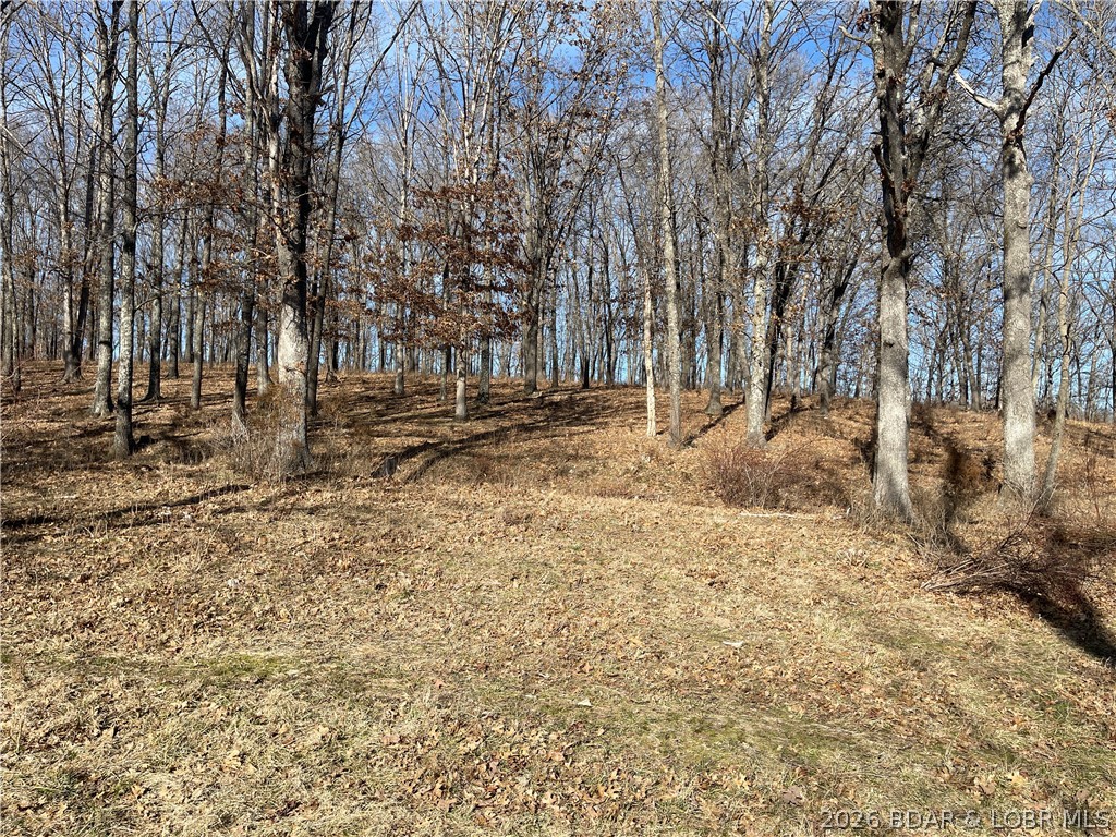 Tbd Three Creek Road Property Photo 1