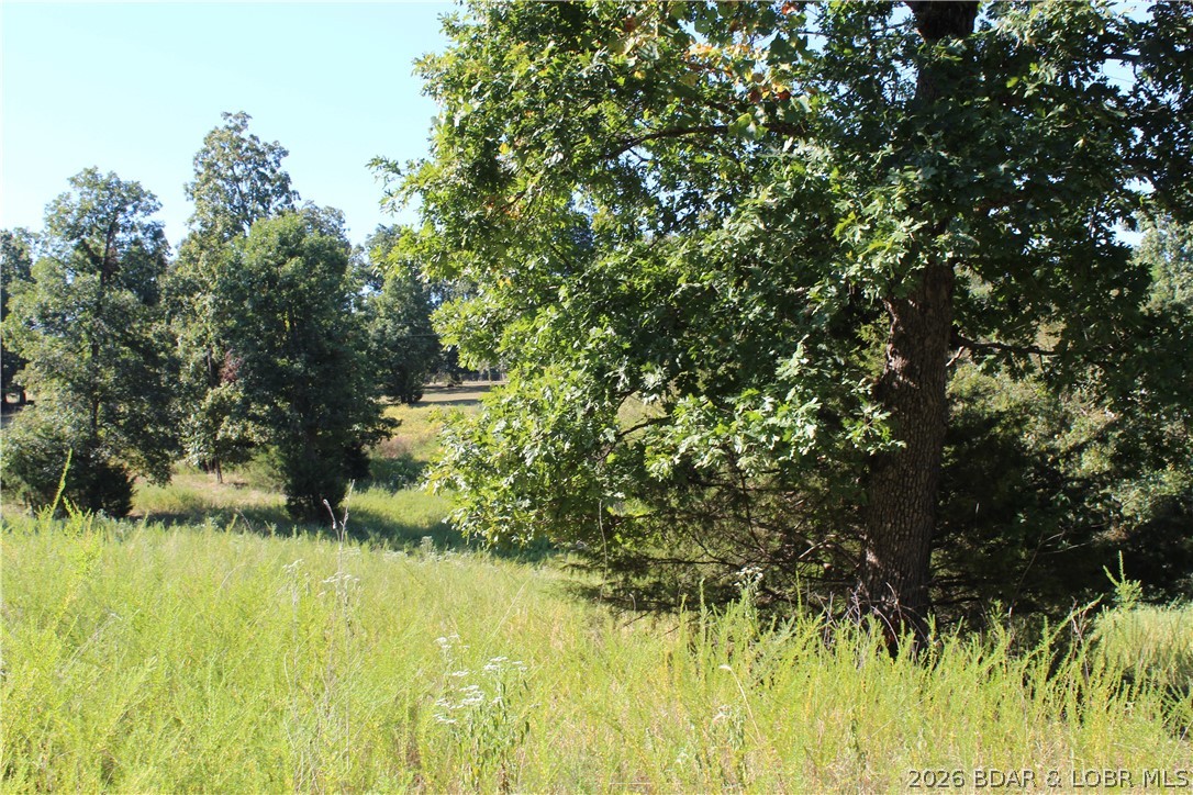 Lot Cl21 Magnolia Road Property Photo 1