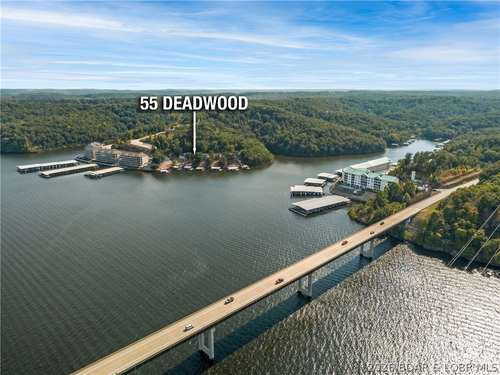 55 Deadwood Drive Property Photo 4