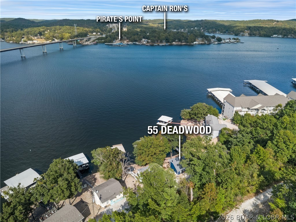 55 Deadwood Drive Property Photo 5
