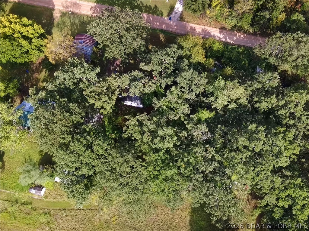 1703 Old Tuscumbia Road Property Photo 30