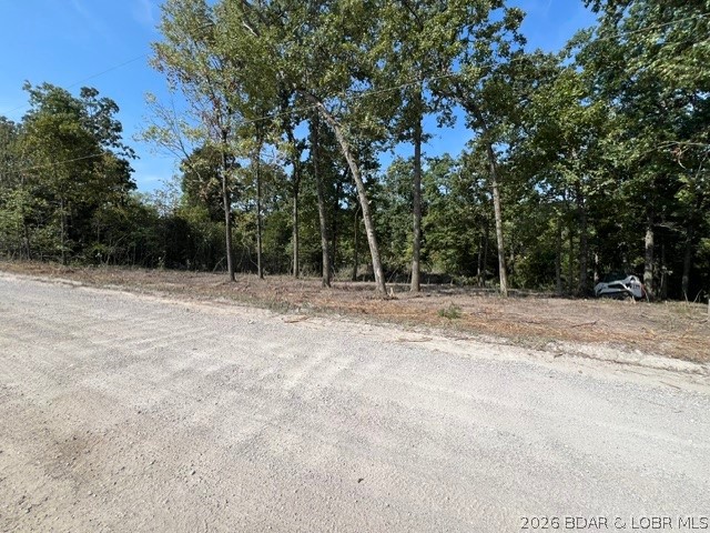 Tbd Hittridge Road Property Photo 3