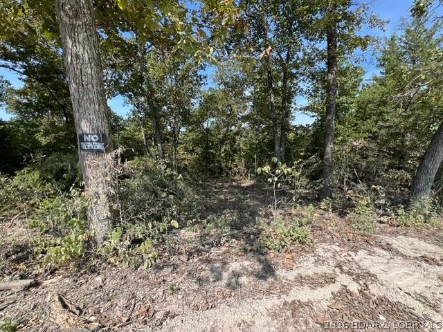 Tbd Hittridge Road Property Photo 5