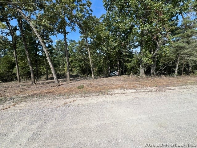 Tbd Hittridge Road Property Photo 6