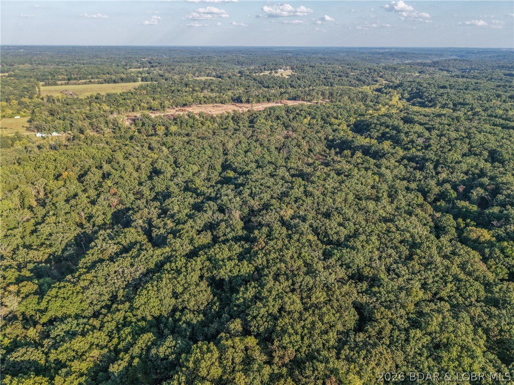 Tbd Hittridge Road Property Photo 8