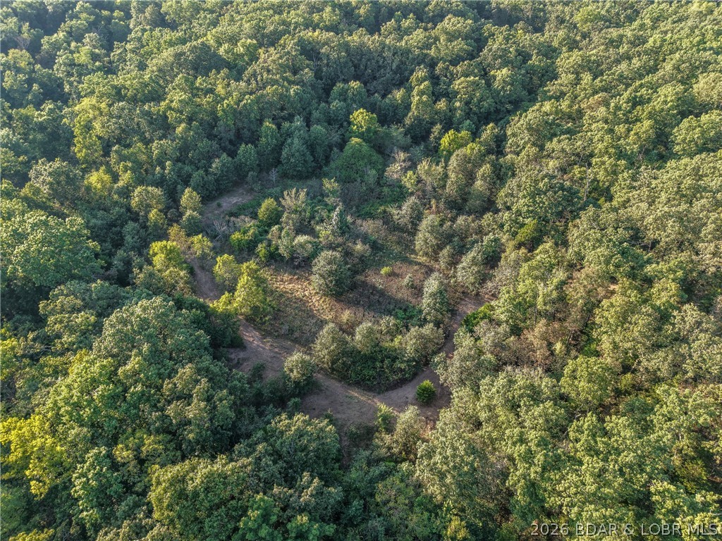 Tbd Hittridge Road Property Photo 11