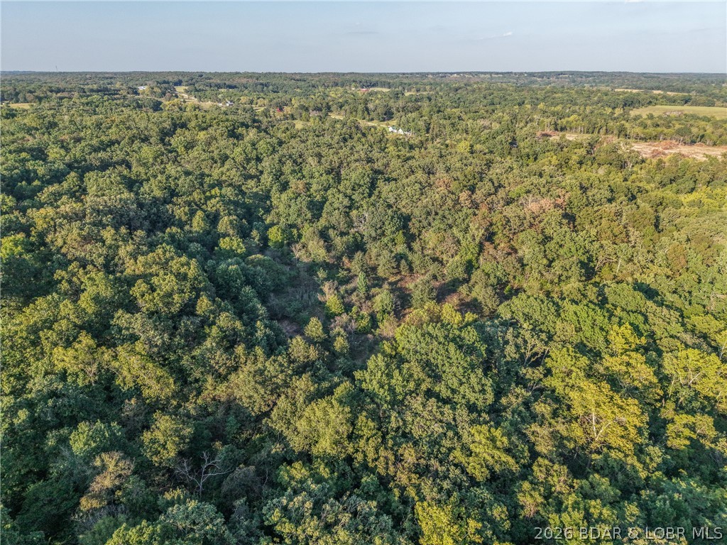 Tbd Hittridge Road Property Photo 12