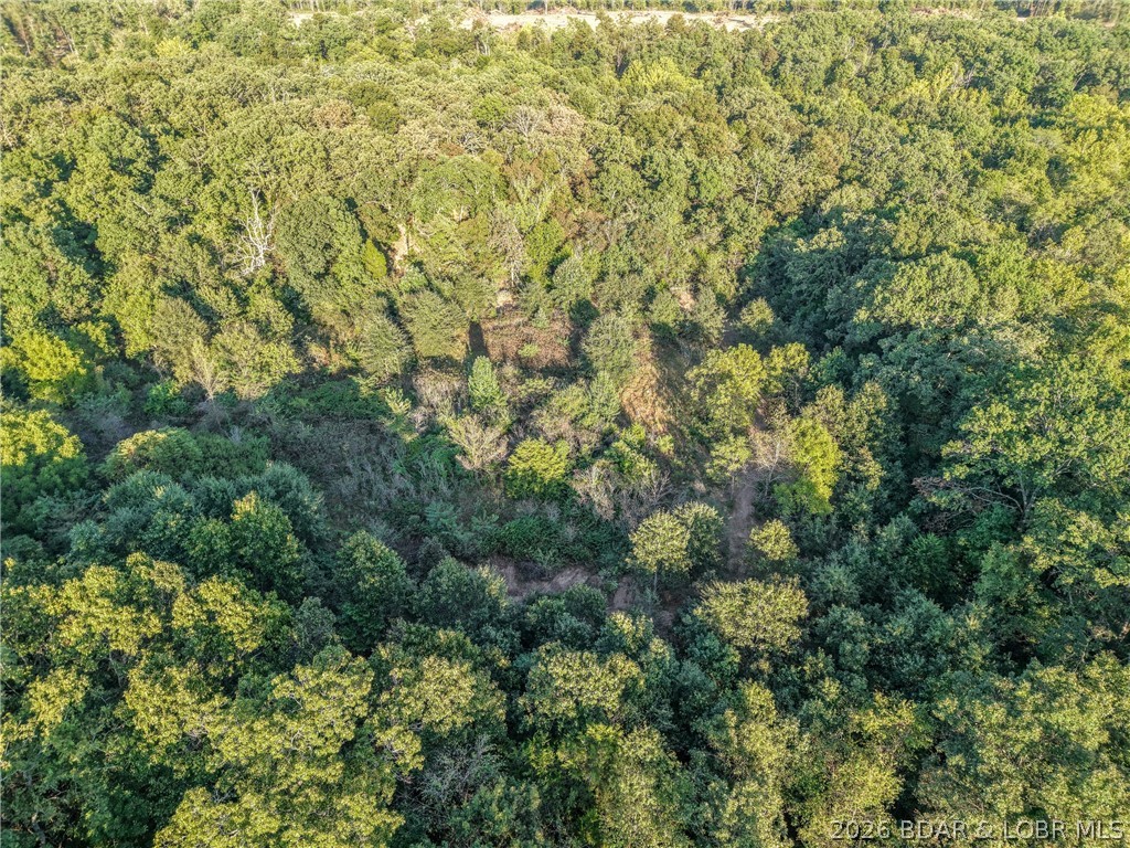 Tbd Hittridge Road Property Photo 13