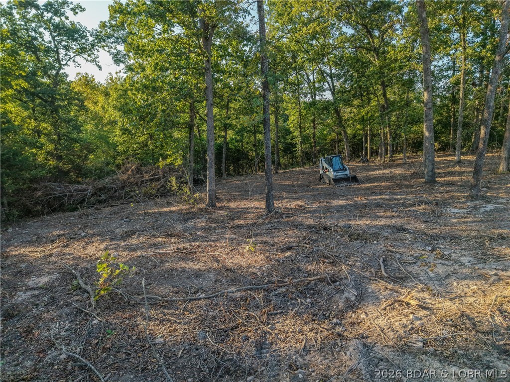Tbd Hittridge Road Property Photo 17