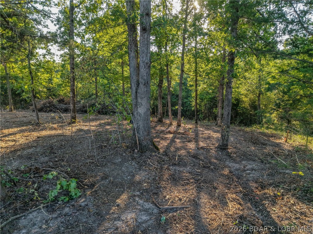 Tbd Hittridge Road Property Photo 18