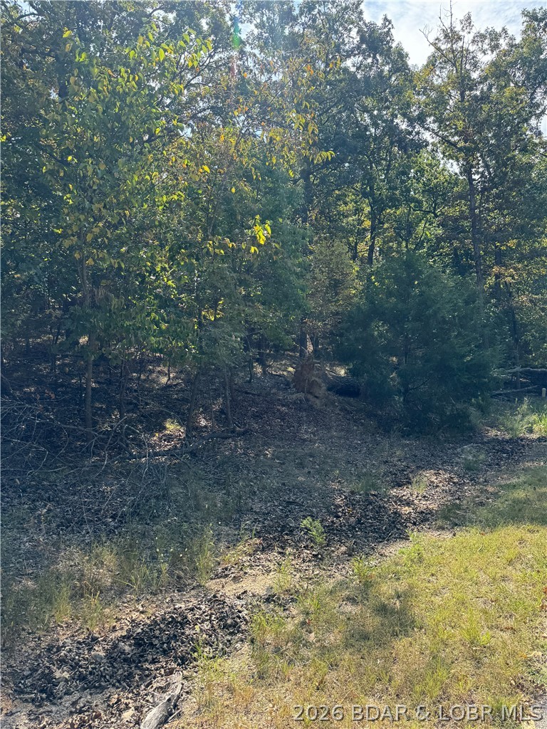 Lot 1093 Salem Drive Property Photo 1