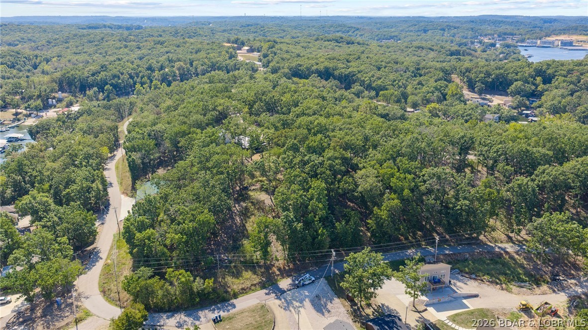 Lot 12 Chimney Point Property Photo 1