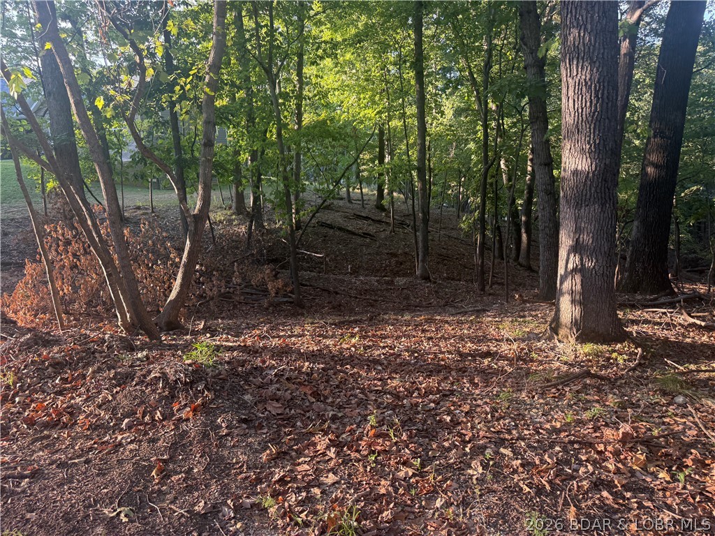 Lot 334 Lake Drive Property Photo 1