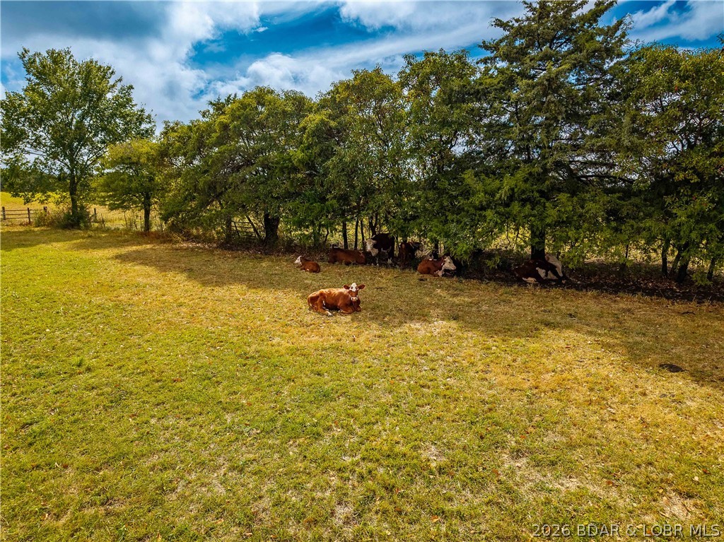 7450 State Hwy 7 Property Photo 70