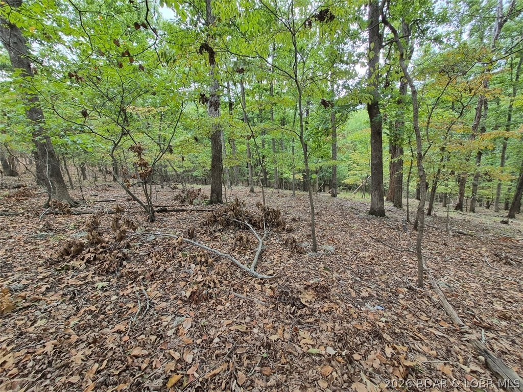 Lot 496 Akron Court Property Photo 1