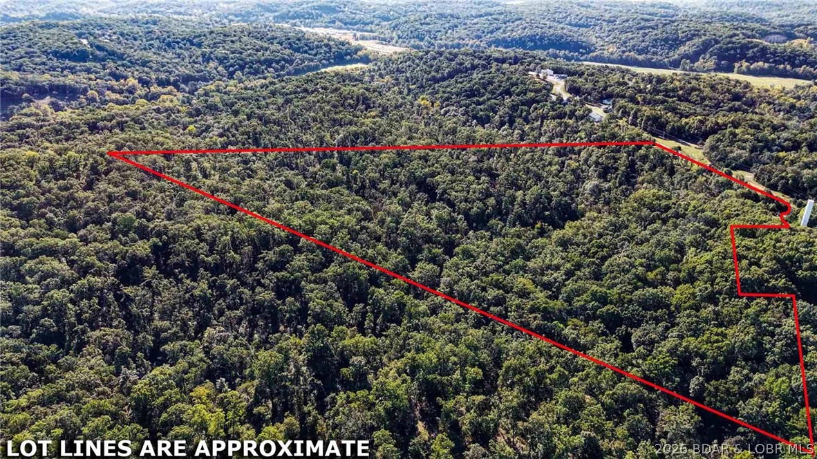 Tbd Oak Hill Forest Drive Property Photo 2