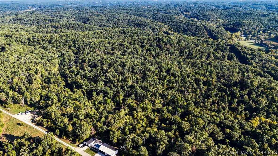 Tbd Oak Hill Forest Drive Property Photo 4