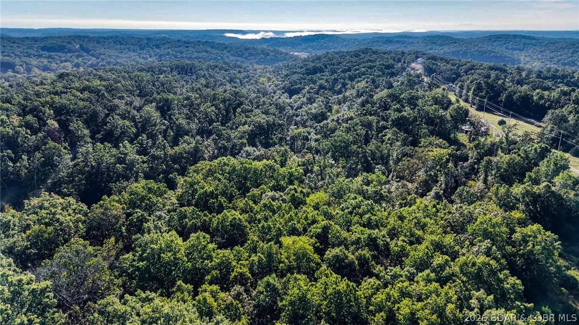 Tbd Oak Hill Forest Drive Property Photo 5