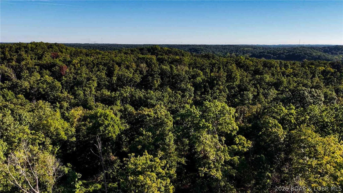 Tbd Oak Hill Forest Drive Property Photo 6