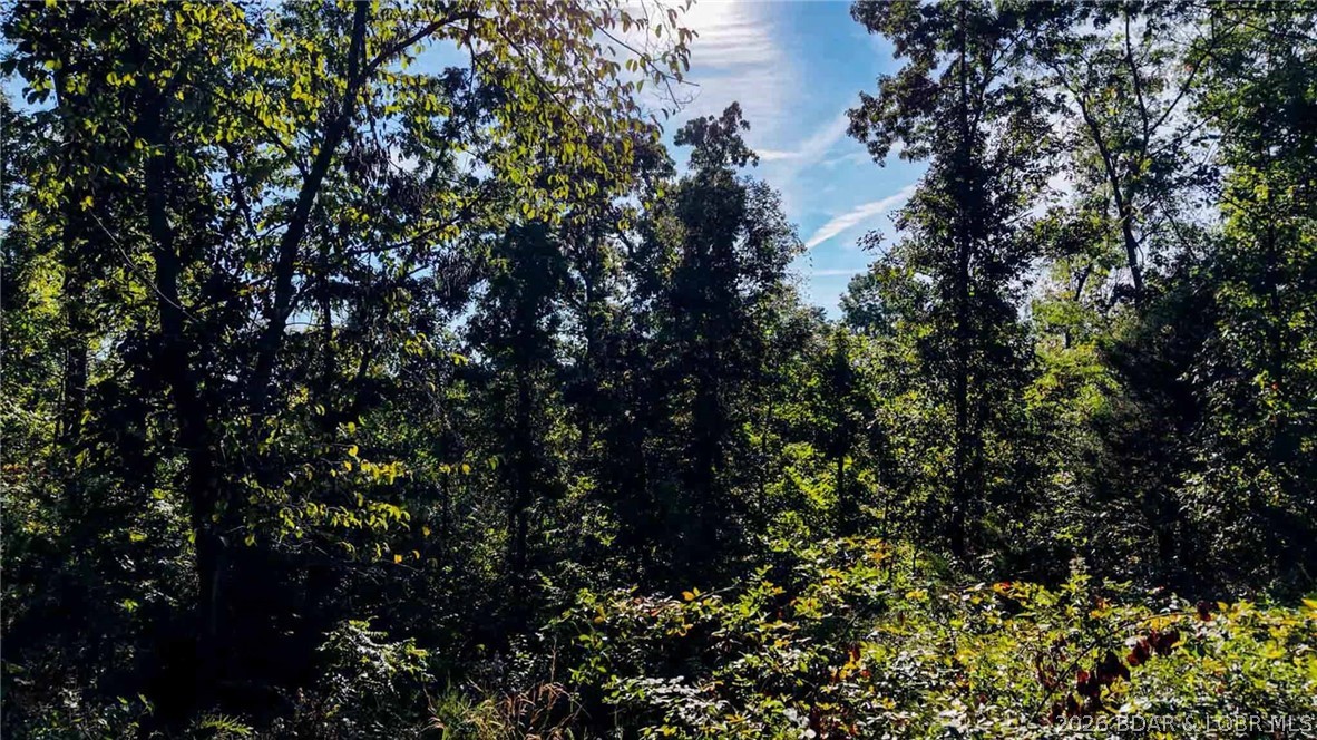 Tbd Oak Hill Forest Drive Property Photo 9