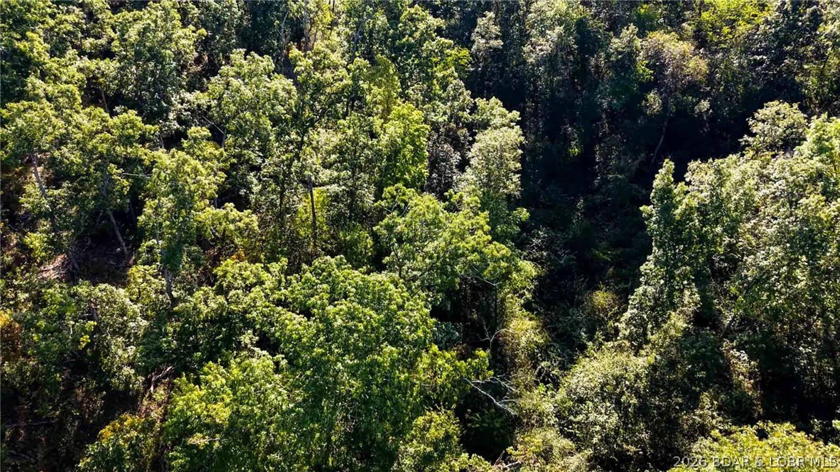 Tbd Oak Hill Forest Drive Property Photo 10