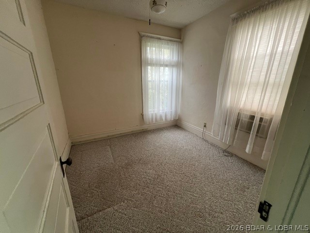 601 E Newton Street Property Photo 87