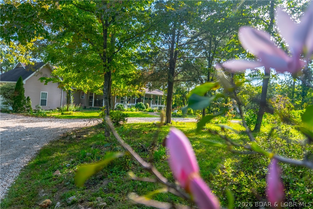 42 Bluff Drive Property Photo 18