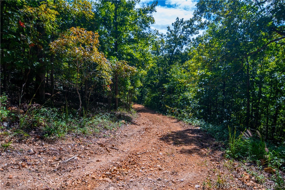 42 Bluff Drive Property Photo 35