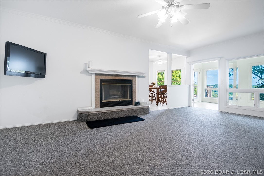 42 Bluff Drive Property Photo 51
