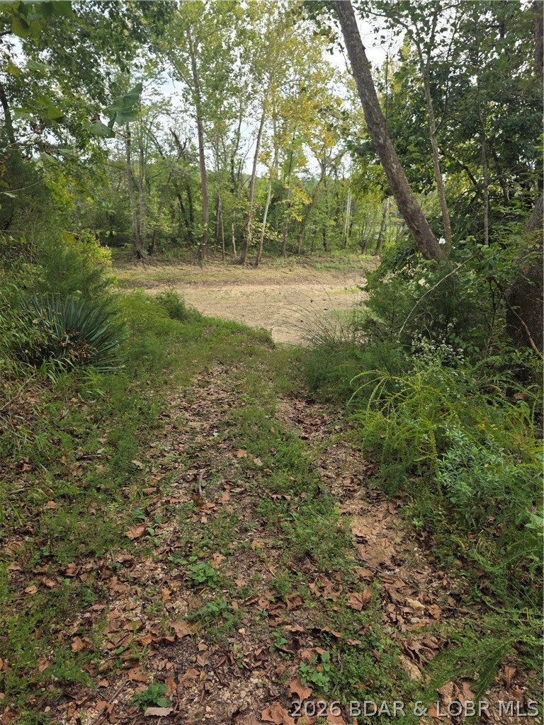 42 Bluff Drive Property Photo 68
