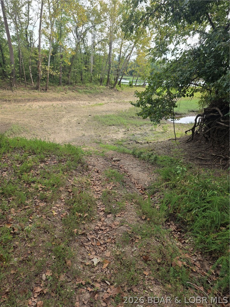 42 Bluff Drive Property Photo 69