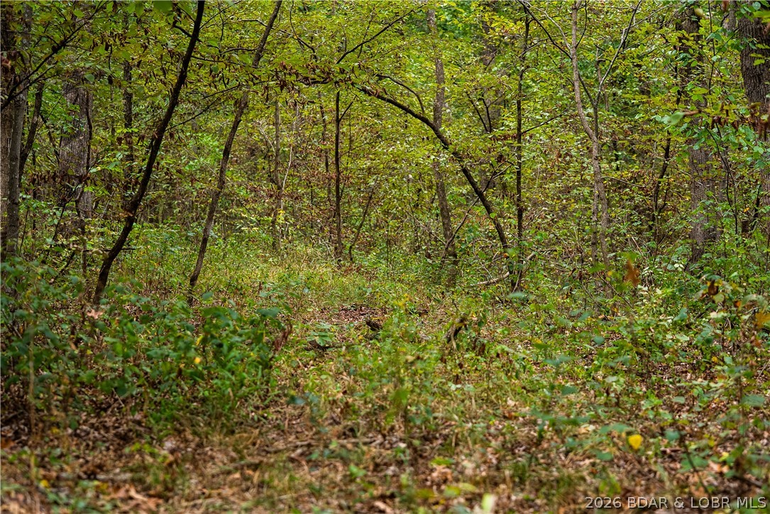 56808 Windsong Place Property Photo 56