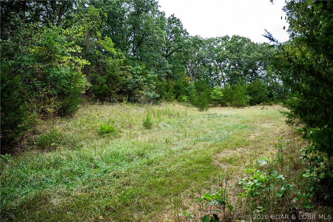 56808 Windsong Place Property Photo 99