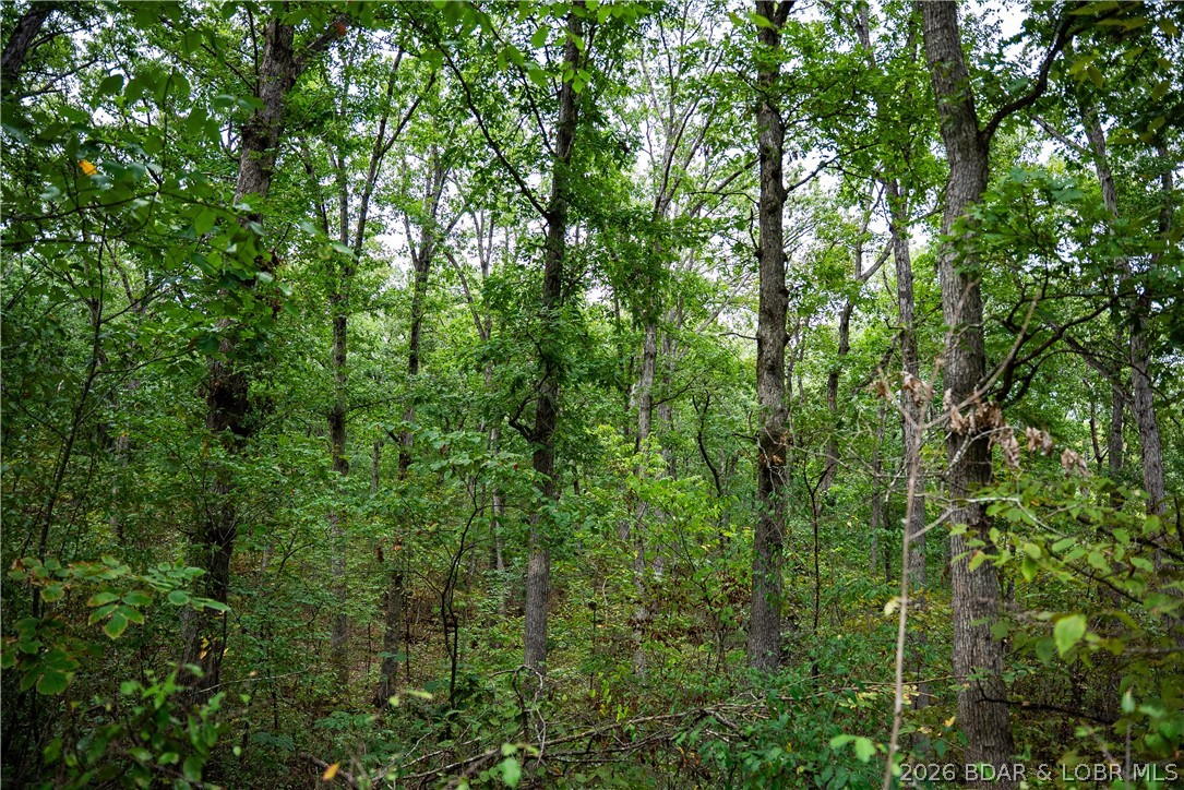 56808 Windsong Place Property Photo 100