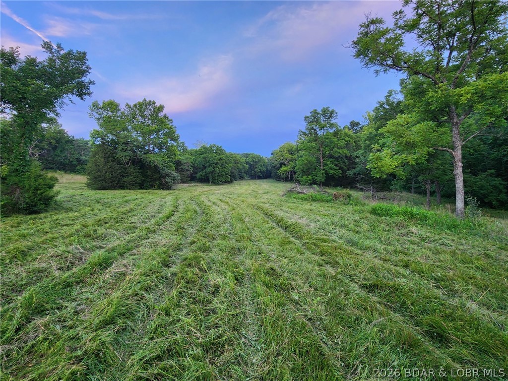 Tract 1 M And M Ranch Lane Property Photo 12