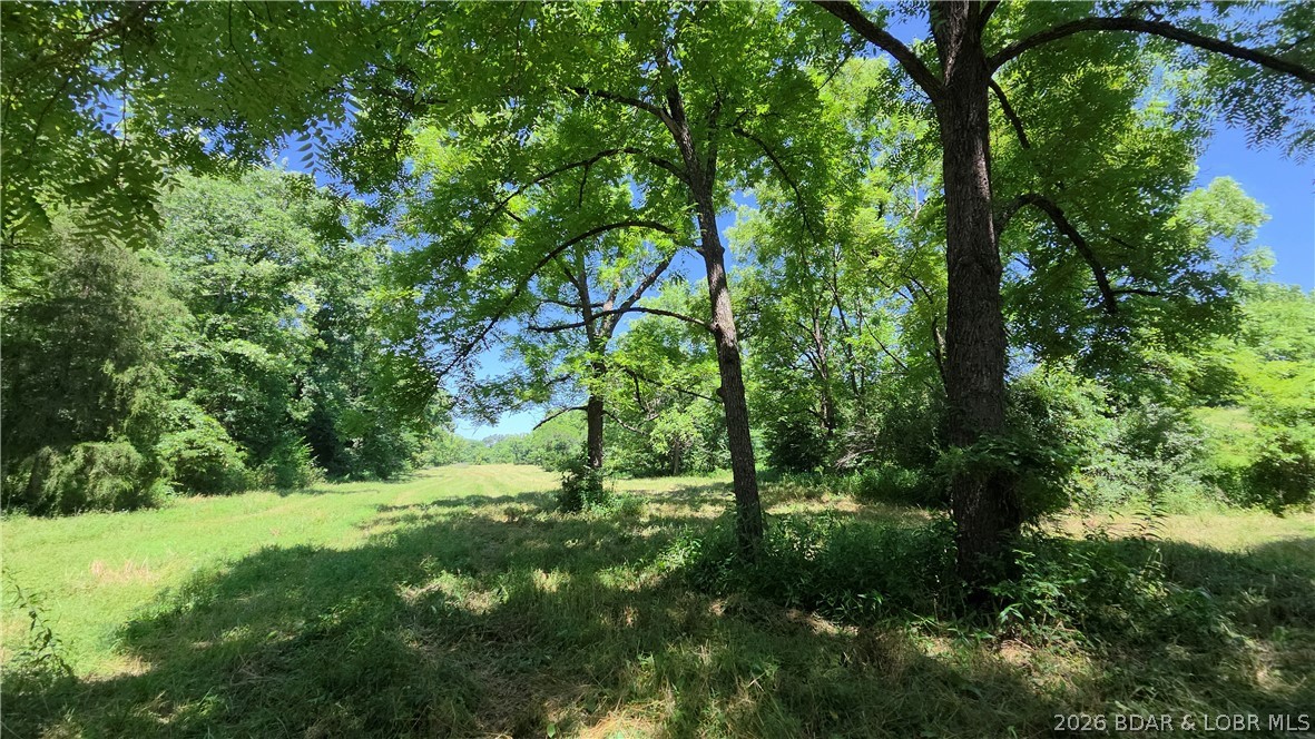 Tract 1 M And M Ranch Lane Property Photo 14